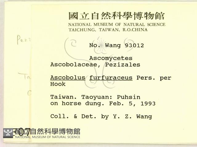 登錄號:F0000707藏品圖，第2張