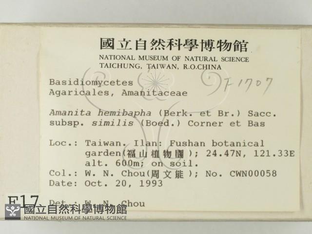 登錄號:F0001707藏品圖，第2張