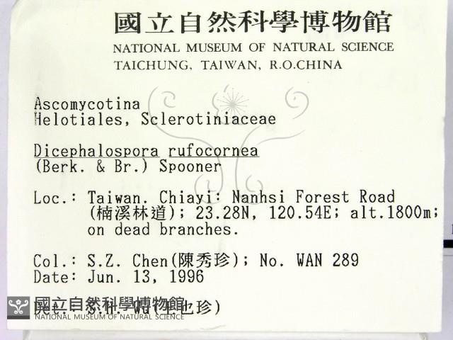 登錄號:F0004707藏品圖，第2張