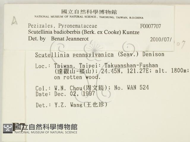 登錄號:F0007707藏品圖，第2張