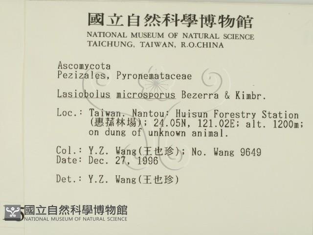 登錄號:F0005707藏品圖，第2張