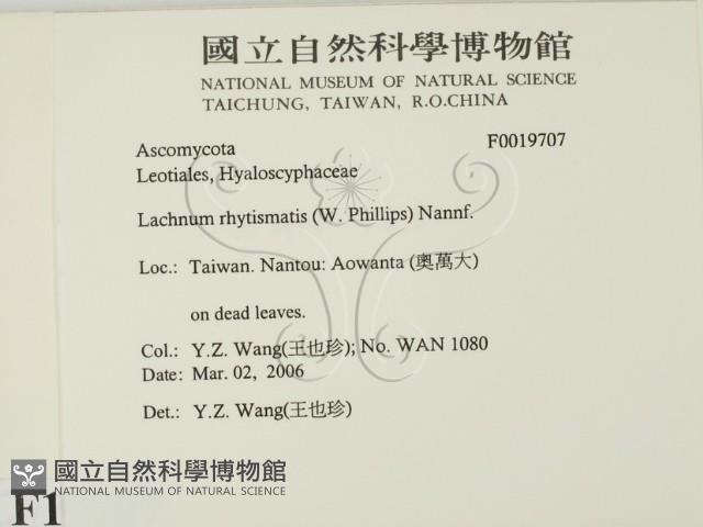 登錄號:F0019707藏品圖，第2張