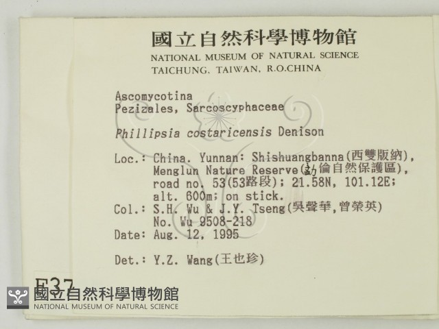 登錄號:F0003707藏品圖，第2張