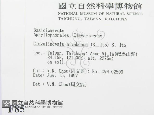 登錄號:F0008507藏品圖，第2張
