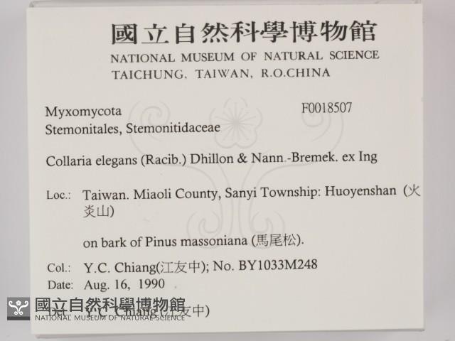 登錄號:F0018507藏品圖，第2張