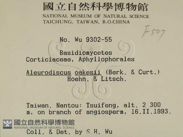 登錄號:F0000507藏品圖，第2張