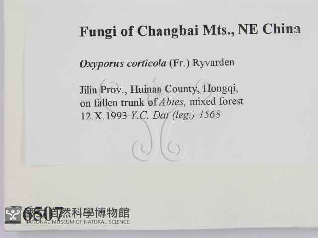 登錄號:F0006507藏品圖，第2張