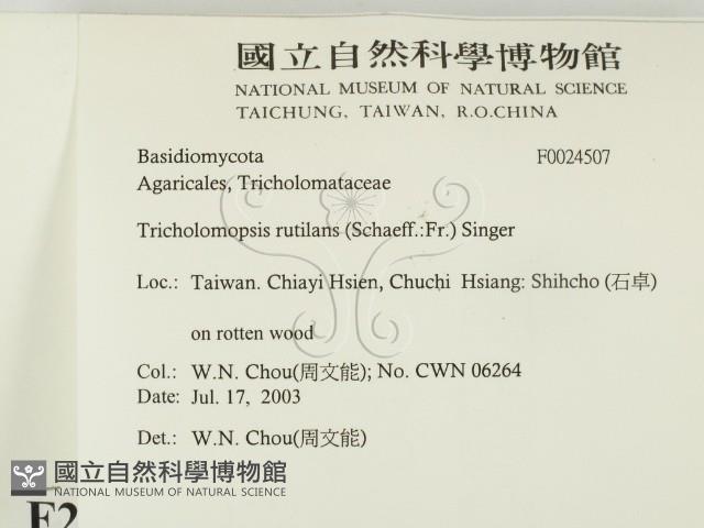 登錄號:F0024507藏品圖，第2張