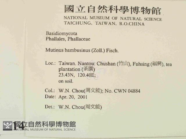 登錄號:F0014507藏品圖，第2張