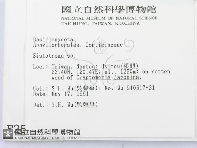 登錄號:F0002507藏品圖，第2張