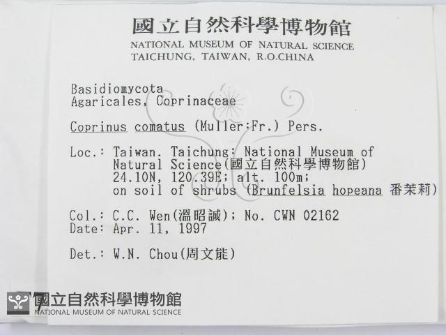登錄號:F0007507藏品圖，第2張