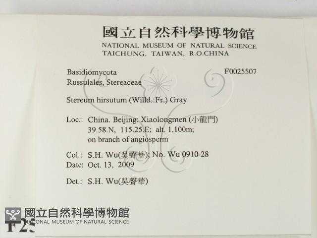 登錄號:F0025507藏品圖，第2張