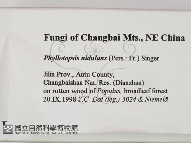 登錄號:F0009507藏品圖，第2張