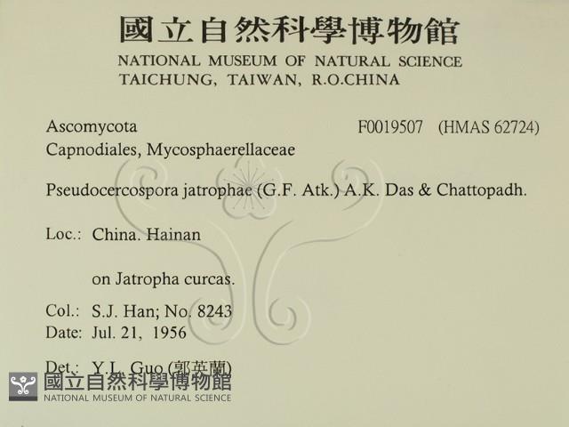 登錄號:F0019507藏品圖，第2張