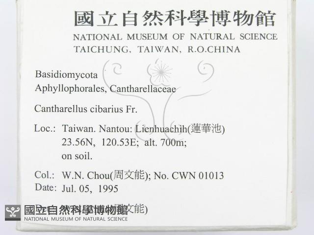 登錄號:F0003507藏品圖，第2張