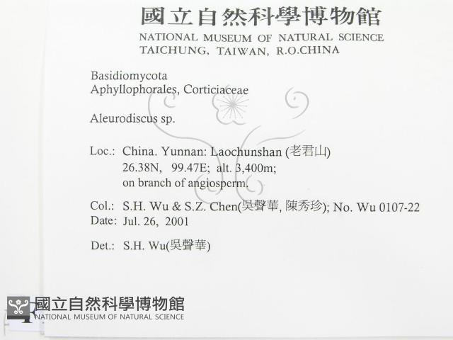 登錄號:F0013507藏品圖，第2張