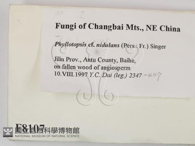 登錄號:F0008107藏品圖，第2張