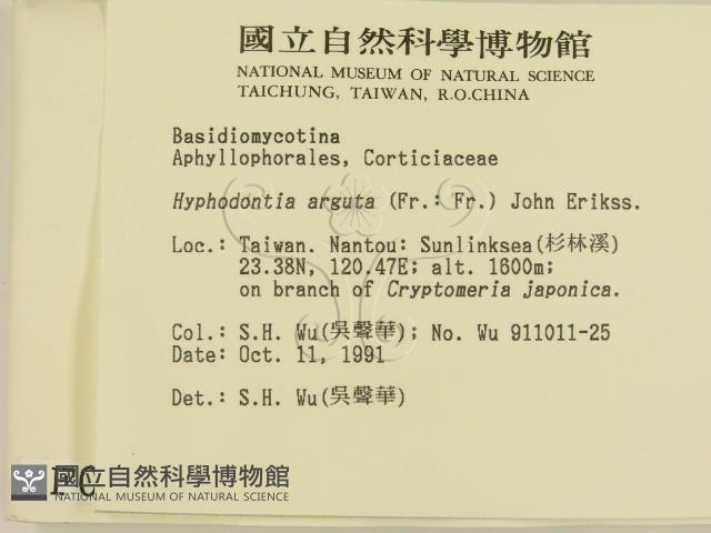 登錄號:F0000107藏品圖，第2張
