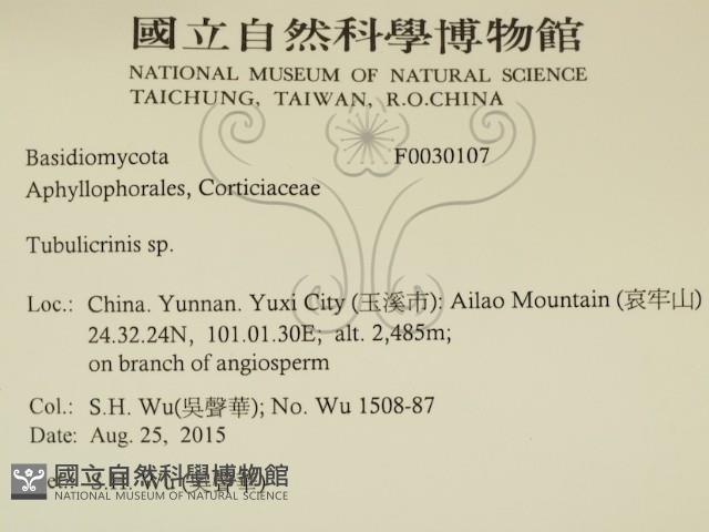 登錄號:F0030107藏品圖，第2張