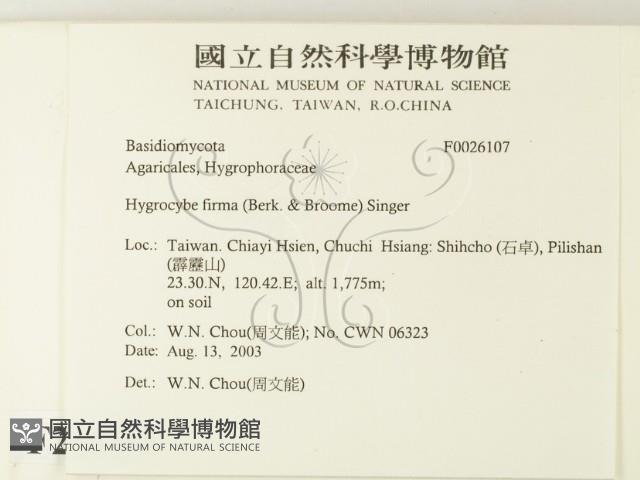 登錄號:F0026107藏品圖，第2張
