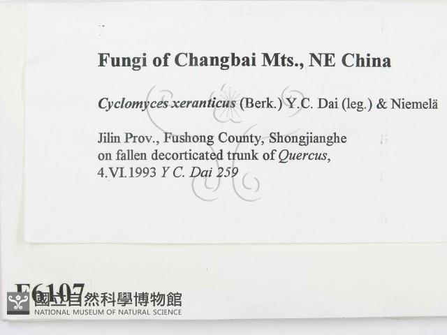 Accession Number:F0006107 Collection Image, Figure 2, Total 2 Figures