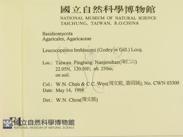 登錄號:F0011107藏品圖，第2張