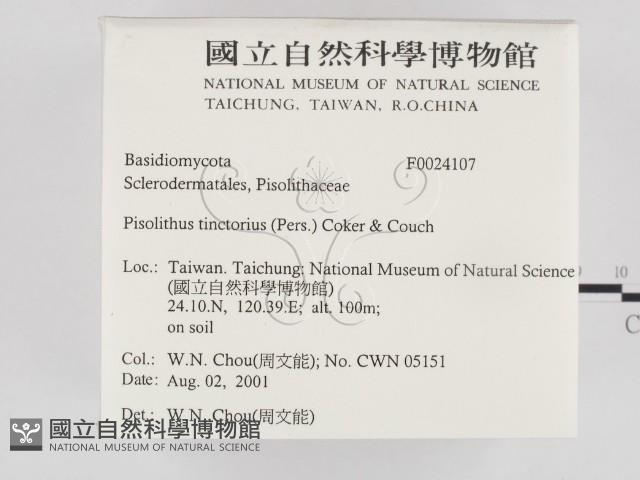 登錄號:F0024107藏品圖，第2張