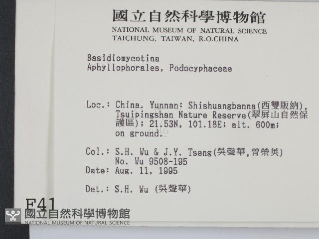 Accession Number:F0004107 Collection Image, Figure 2, Total 3 Figures