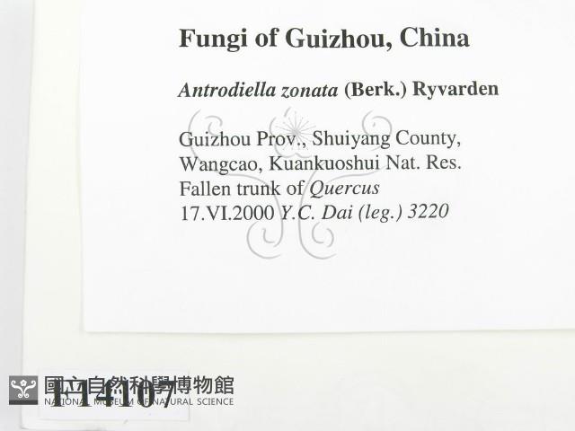 登錄號:F0014107藏品圖，第2張