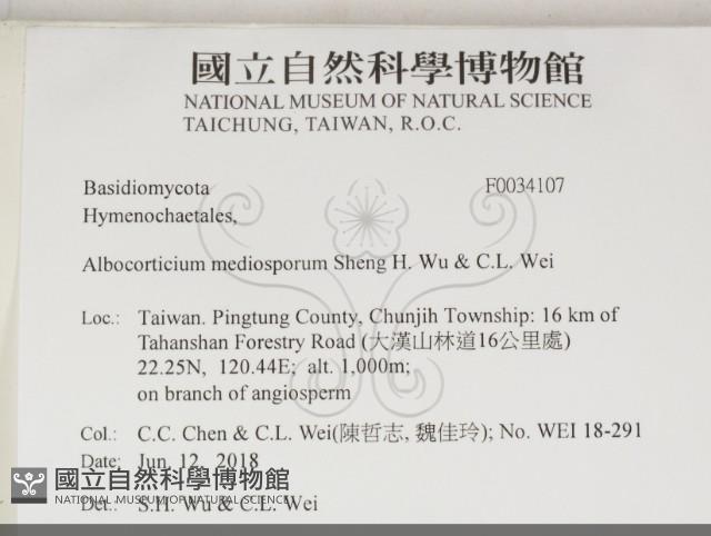 登錄號:F0034107藏品圖，第2張
