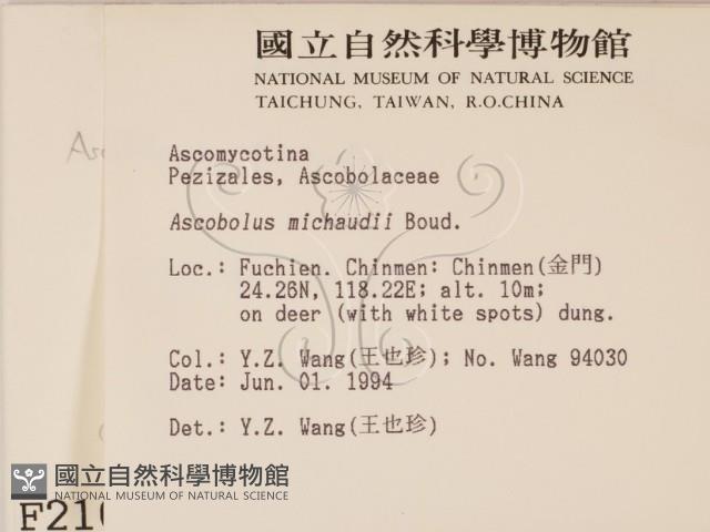 登錄號:F0002107藏品圖，第2張