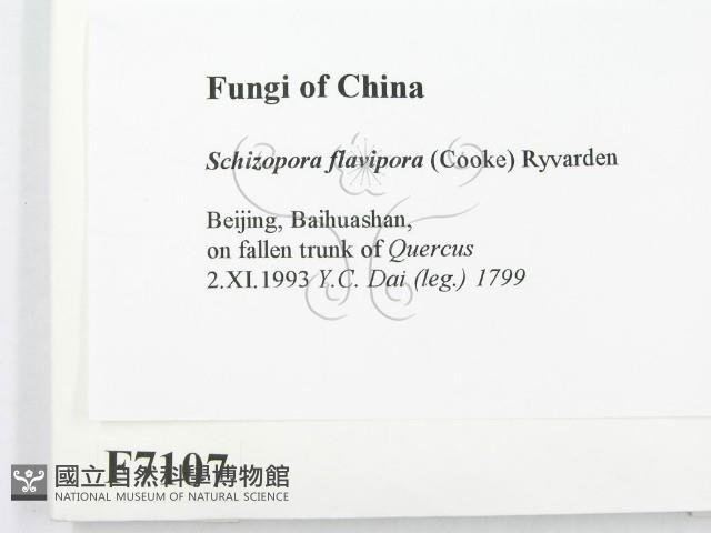 登錄號:F0007107藏品圖，第2張