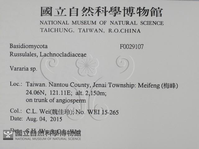 登錄號:F0029107藏品圖，第2張