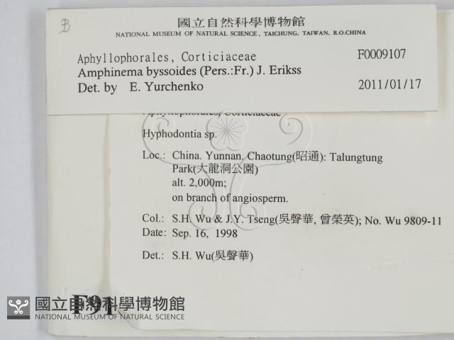 登錄號:F0009107藏品圖，第2張