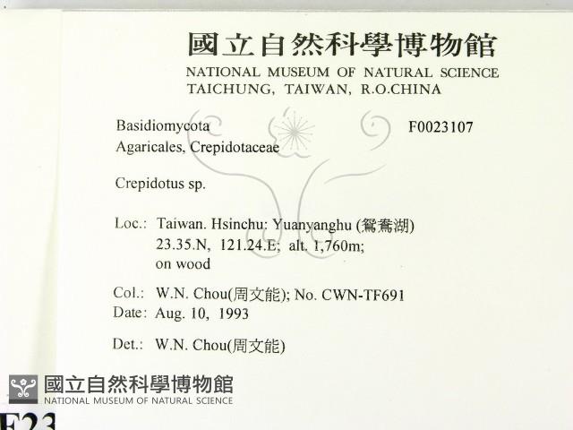 登錄號:F0023107藏品圖，第2張