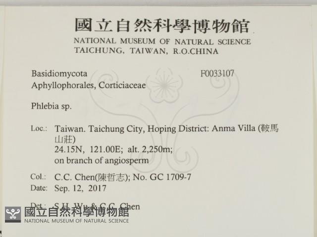 登錄號:F0033107藏品圖，第2張