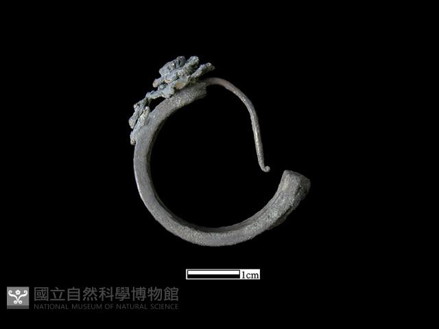 耳環藏品圖，第2張