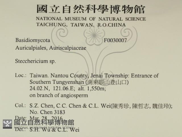 登錄號:F0030007藏品圖，第2張