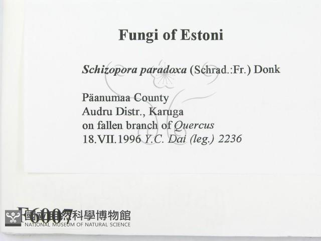 登錄號:F0006007藏品圖，第2張