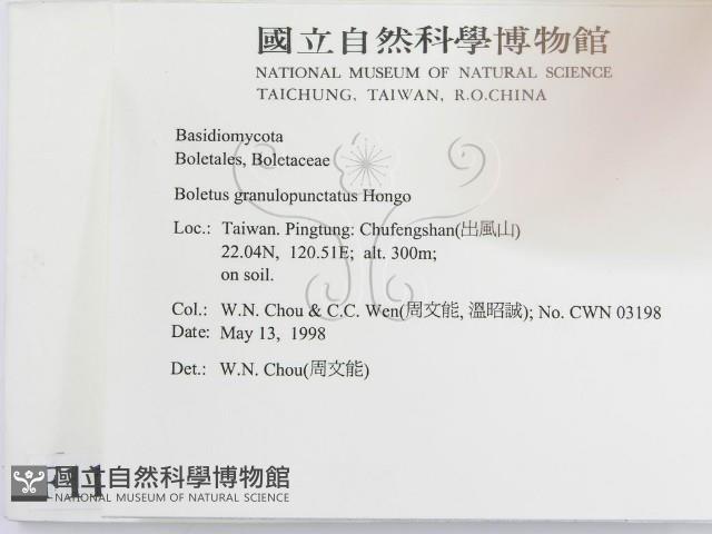 登錄號:F0011007藏品圖，第2張
