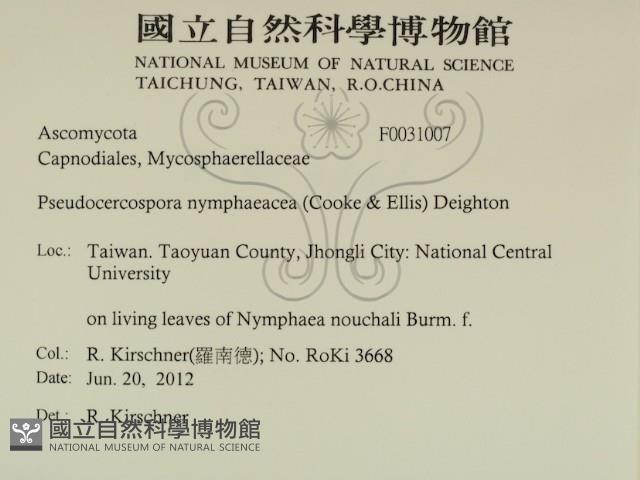 登錄號:F0031007藏品圖，第2張