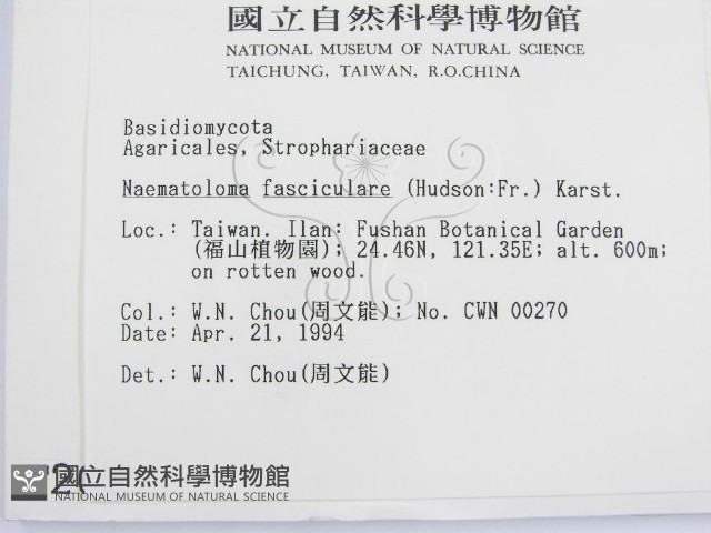 登錄號:F0002007藏品圖，第2張