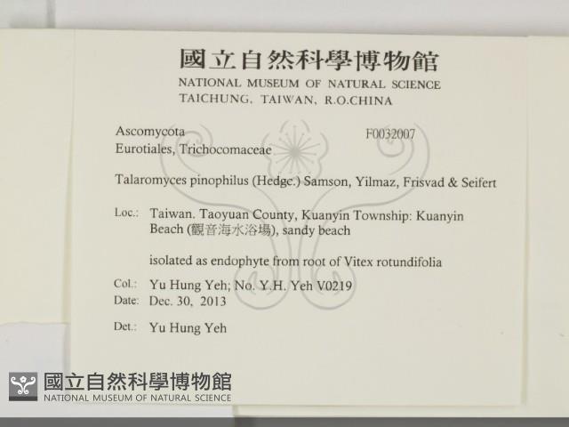 登錄號:F0032007藏品圖，第2張