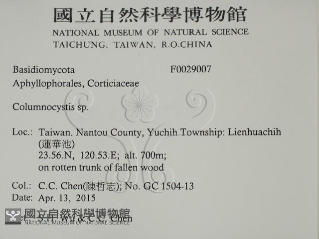 登錄號:F0029007藏品圖，第2張