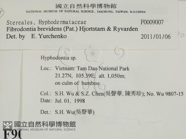 登錄號:F0009007藏品圖，第2張