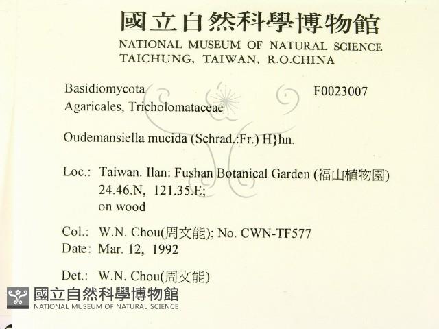 登錄號:F0023007藏品圖，第2張
