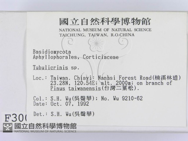 登錄號:F0003007藏品圖，第2張