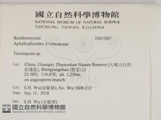 登錄號:F0033007藏品圖，第2張