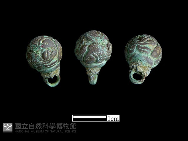 鈕子藏品圖，第2張