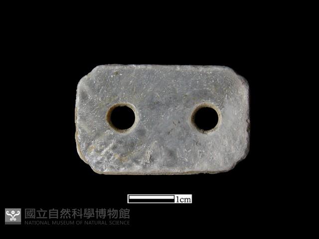 貝飾藏品圖，第2張